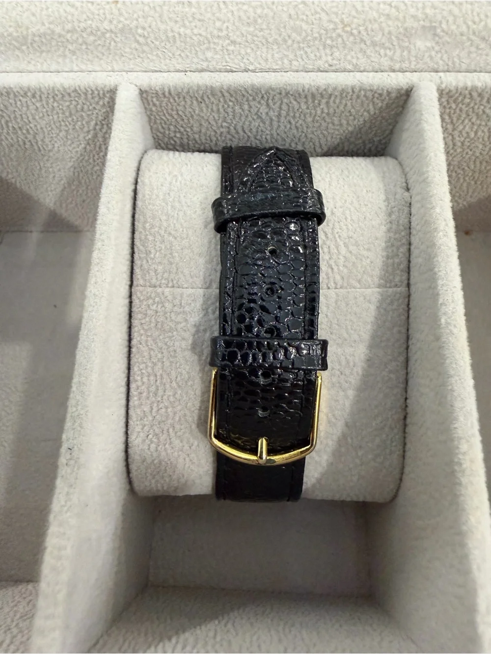 Pulsar classic men